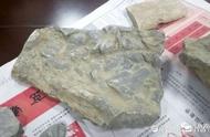 济南的10岁男孩在游玩中发现的古生物化石：真的还是假的？
