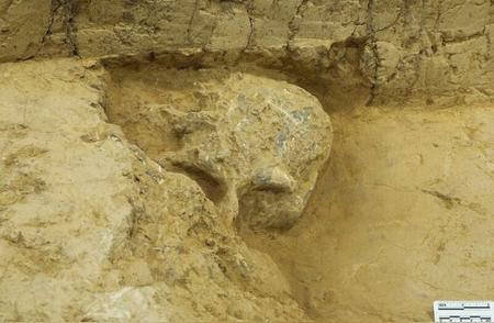 湖北考古发现百万年前古人类头骨化石，国家文物局公布重要进展