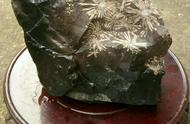 纯天然菊花石：大自然的瑰宝