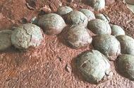 赣深高铁河源段工地发现数百枚奇特的石蛋