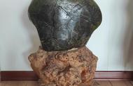 嘉陵江绿泥龟纹石：色彩丰富，纹理独特