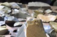 醉美沙尔湖泥石：自然奇观的魅力