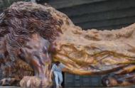 广西男子创作15米根雕雄狮，富商出价300万被拒，如今却无人问津