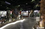 青岛绿石博物馆：亚洲首屈一指的夜明珠收藏地