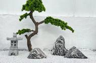 广东雪浪石：庭院和小区造景的理想选择