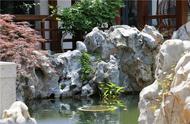 太湖石：山水间的自然艺术品