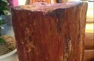 树化玉：木头中的水晶奇迹