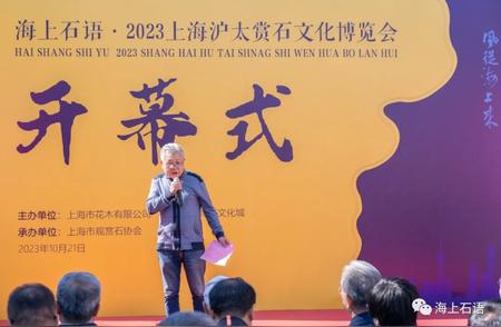 2023上海沪太赏石文化博览会：海上石语的盛大开幕