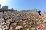 黄河兰州段水位惊人下降，市民纷纷前往河心滩捡石头