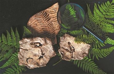 250百万年前：化石揭示植物的“睡眠”之谜