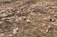 玛瑙草原：满足游客捡石头的天堂