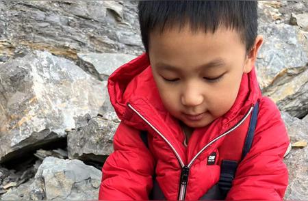 5岁男孩偶然发现5亿年前古生物化石：专家鉴定为晚寒武纪三叶虫