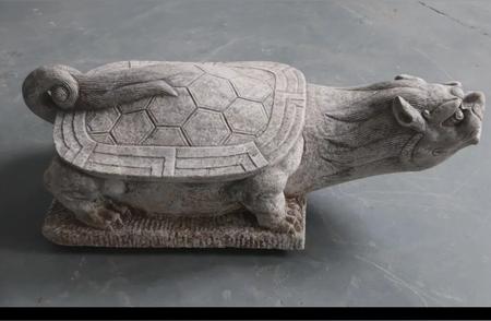 明代石龟：历史与传说