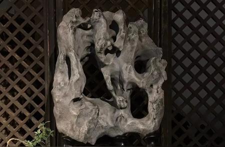 太湖石【驻雲】：高80cm，宽45cm，厚30cm的艺术品