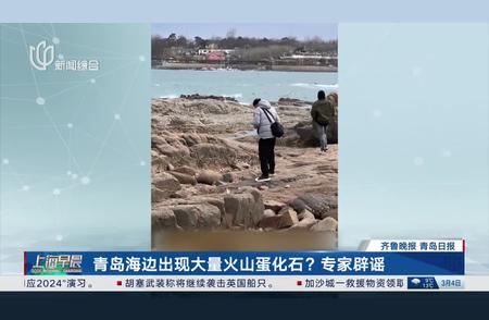 青岛海边惊现大量火山蛋化石？专家亲自辟谣！