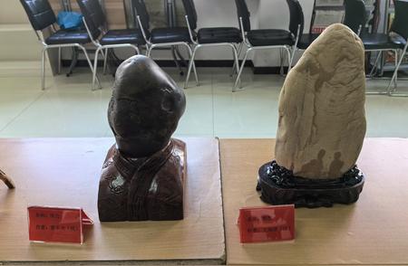 檀营第二社区庆祝龙年，举办根雕奇石展览