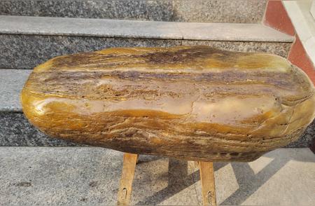 长江深处的神秘发现：一块重达100斤的硅化木