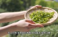 黄山毛峰：中国传统名茶的瑰宝