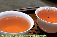 青茶是什么？#你今天喝了什么茶？