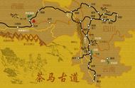 丝绸之路与茶马古道：陕西泾阳茯茶的历史里程碑