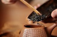 1克熟茶含有5亿霉菌，喝熟茶等于喝脏水？普洱茶是否还能饮用？