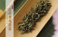 黄茶：一种独特的茶叶种类