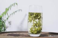 绿茶四大流派代表名茶，你都尝过吗？