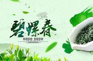 揭秘碧螺春：中国十大名茶之一的起源与品质