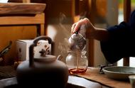冬季饮茶需注意的事项？专家：如果你不懂，就别随意选择，记住这3个选茶标准