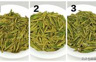 龙井茶的风味对比：不同树种的差异