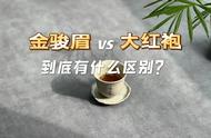 大红袍与红茶：你真的了解它们的区别吗？