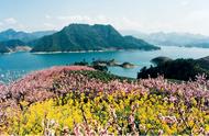 探索千岛湖：摄影、采茶与遇见最美的茶仙子