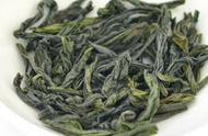 六安瓜片：中国十大名茶中的绿茶翘楚