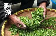 高山茗茶：要元村的茶叶之旅