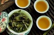 我国有哪些主要的绿茶品种？