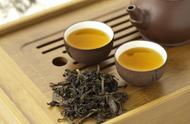 乌龙茶的名优品种，你了解多少？