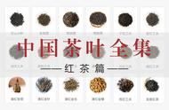 中国红茶全收录：37款名茶一览无遗