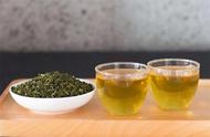 四季春茶是什么类型的茶？夏茶、秋茶和春茶之间的区别是什么？