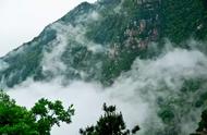 庐山云雾茶：品味自然之美
