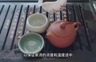 广西梧州六堡茶的盖碗冲泡艺术