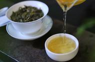 普洱茶爱好者需要掌握哪些茶叶知识？