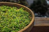 龙井茶：中国绿茶中的翘楚，其经典香气有哪些？