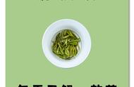 黄山毛峰：第二十期茶文化探索