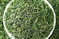 中国四大绿茶品种一览