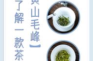 黄山毛峰：一杯好茶的冲泡技巧、品质鉴别与选购指南