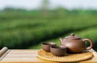 春茶购买必读：如何避免买到仿制茶和假茶？