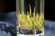 揭秘黄茶的“闷黄”工艺：从绿色到黄色，茶叶的转变之旅