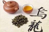 乌龙茶：中国六大茶系的独特代表