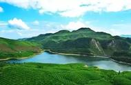 贵州都匀：探索“绿色美丽，绿色财富”的毛尖茶发展之路