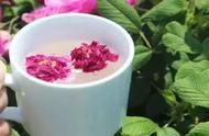 喝对玫瑰花茶，补血养颜效果媲美燕窝！